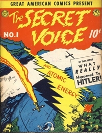 The Secret Voice cover
