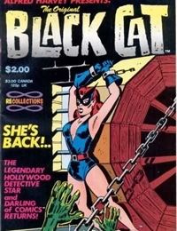 The Original Black Cat cover