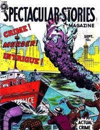 Spectacular Stories Magazine cover
