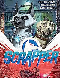Scrapper cover