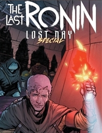 Teenage Mutant Ninja Turtles: The Last Ronin - Lost Day Special cover