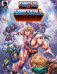 Masters of the Universe/Teenage Mutant Ninja Turtles: Turtles of Grayskull cover