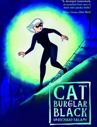 Cat Burglar Black cover