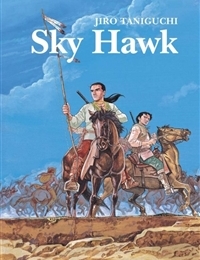 Sky Hawk