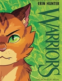 Warriors Graphic Novel