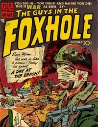 Foxhole cover