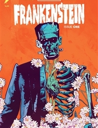 Universal Monsters: Frankenstein cover