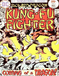 Richard Dragon, Kung-Fu Fighter
