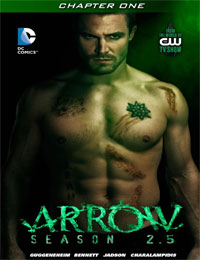 Arrow: Season 2.5 [I]