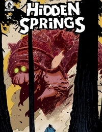 Hidden Springs