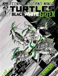 Teenage Mutant Ninja Turtles: Black, White, & Green