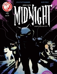 Hero Cats: Midnight Over Stellar City