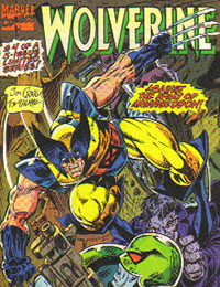 Wolverine: The Nuke Hunters